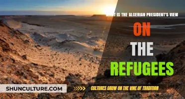 Algerian President's Stance on Refugee Crisis: Policies and Perspectives