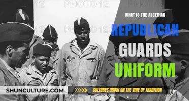 The Algerian Republican Guard Uniform: Design, Symbolism, and Tradition