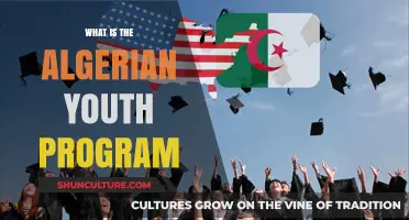 Empowering Algeria's Future: Understanding the Algerian Youth Program