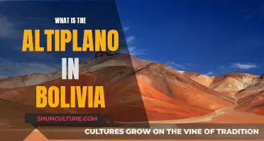 Exploring Bolivia's Altiplano: A Unique High-Altitude Adventure