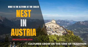 Eagles' Nest Altitude: Soaring High in Austrian Skies