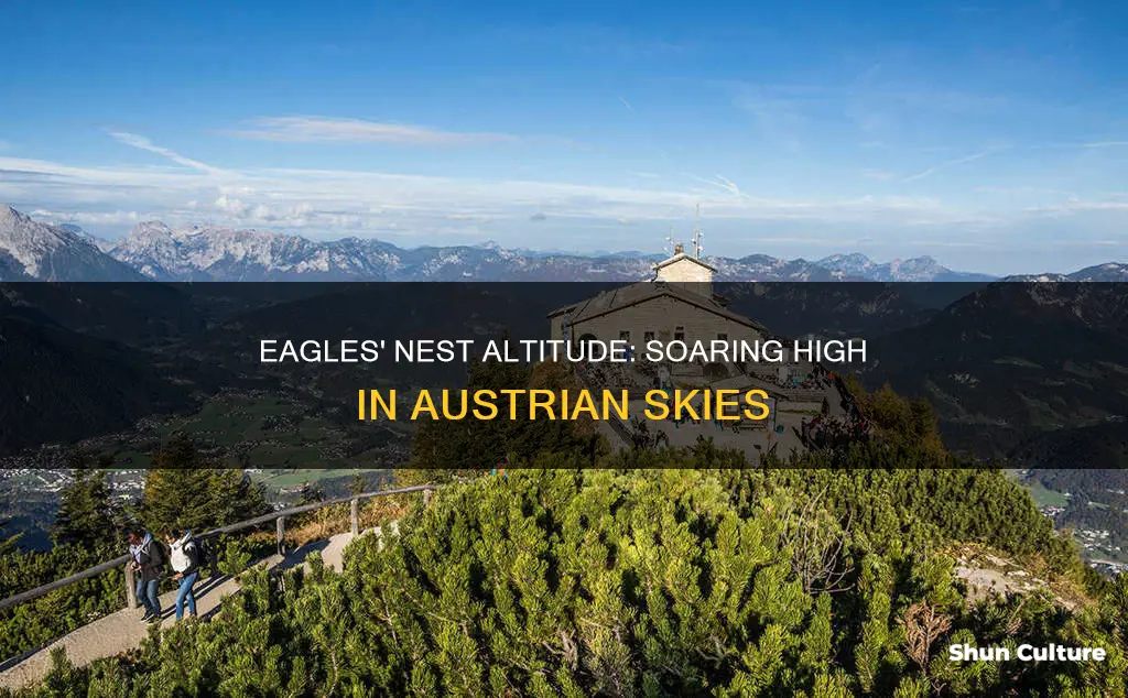 what is the altitude at the eagles nest in austria