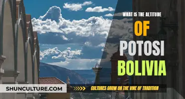 Exploring Potosi, Bolivia: Altitude and Its Impact