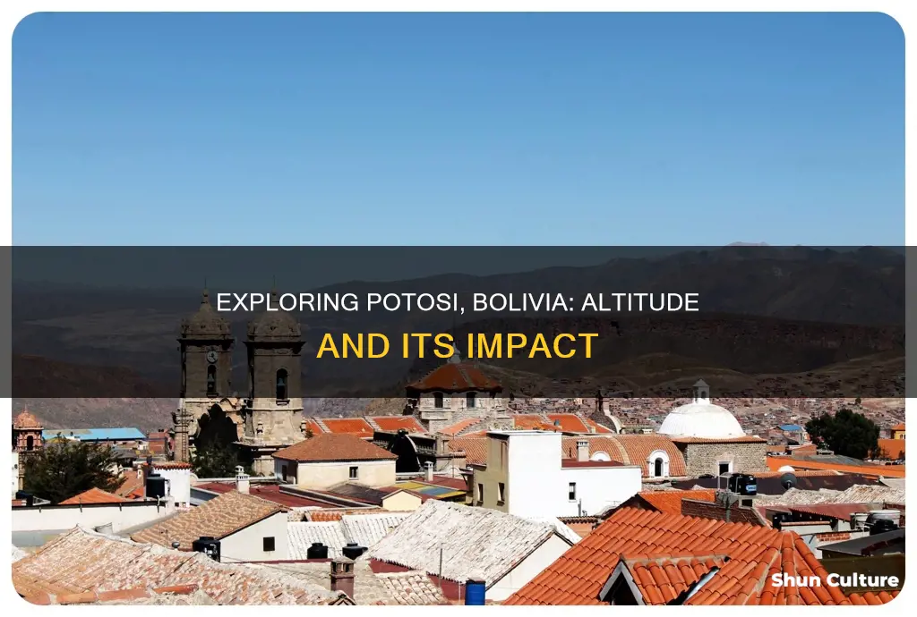 what is the altitude of potosi bolivia