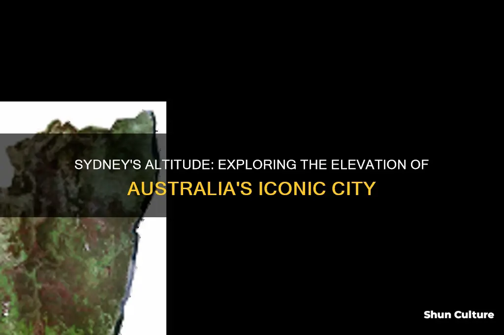what is the altitude of sydney australia