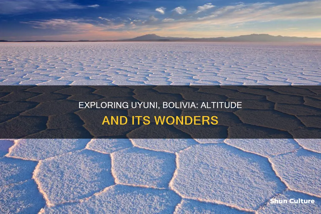 what is the altitude of uyuni bolivia