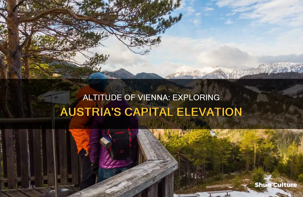what is the altitude of vienna austria