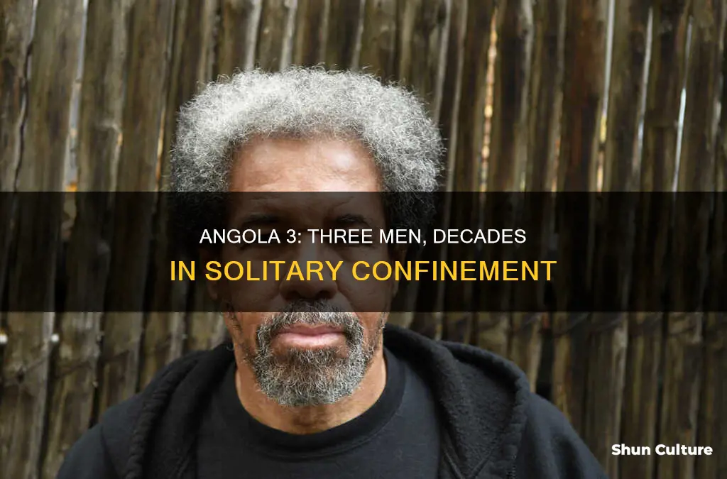 what is the angola 3