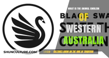 Emblems of Western Australia: The Black Swan Emblem