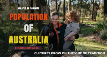 Australian Wildlife: Animal Population Overview