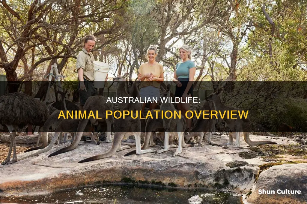 what is the animal population of australia