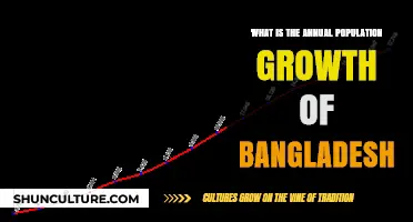 Bangladesh's Population Growth: Annual Trends and Key Insights