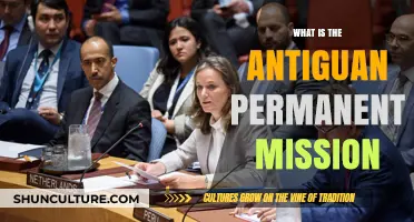 Understanding the Role and Purpose of Antigua's Permanent Mission