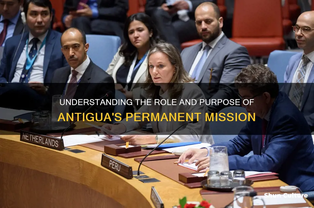 what is the antiguan permanent mission