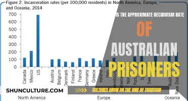 Recidivism Rates: Australian Prisoners Revisited