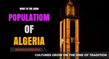 Exploring Algeria's Arab Population: Demographics, Culture, and Identity