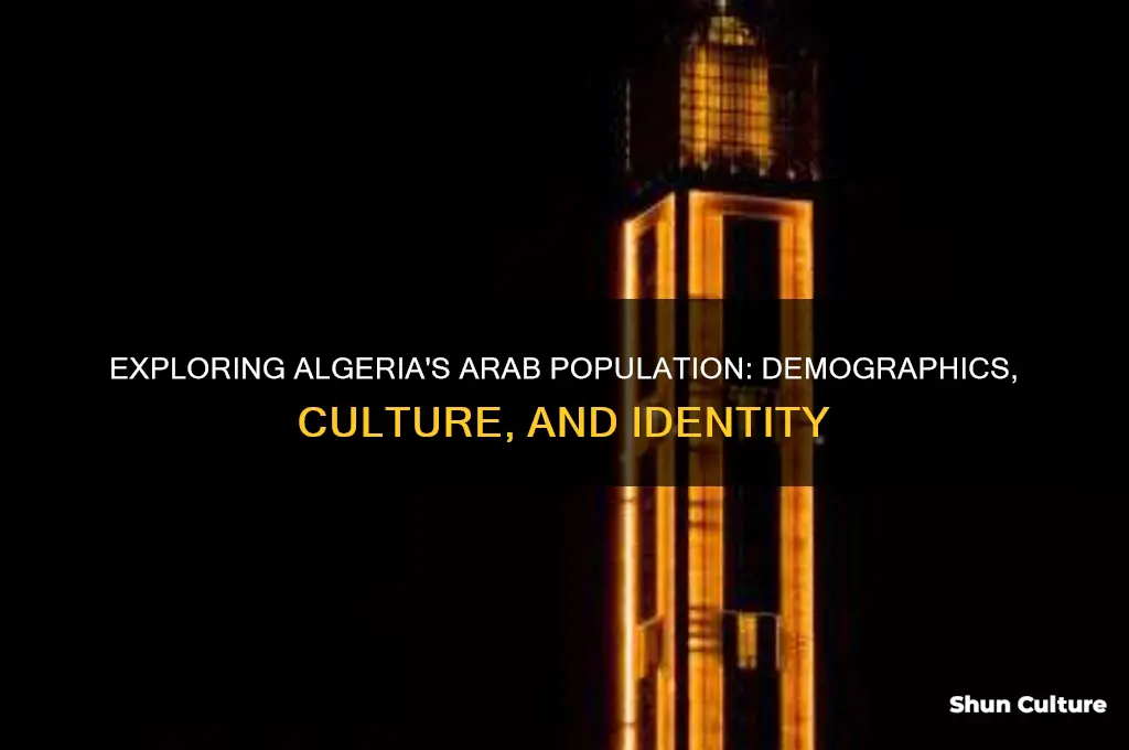 what is the arab populatiom of algeria