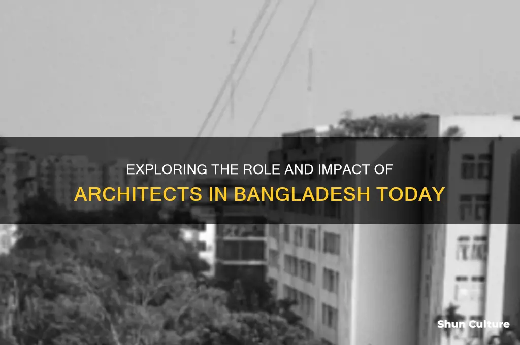 what is the architect in bangladesh