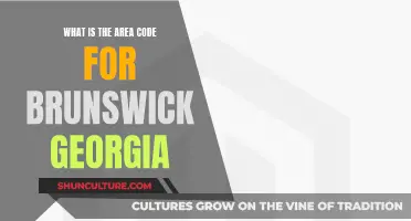 Area Code for Brunswick, Georgia: What's It?
