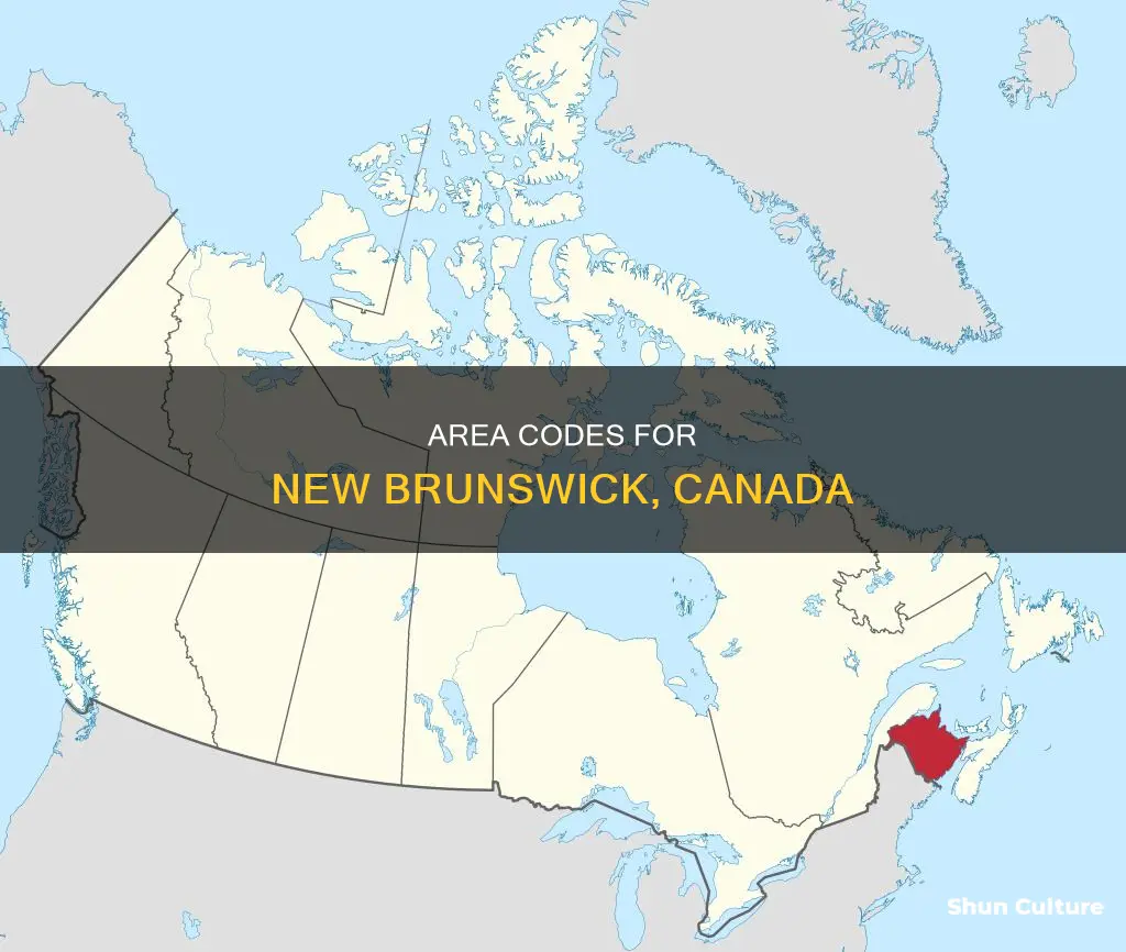 what is the area code for new brunswick