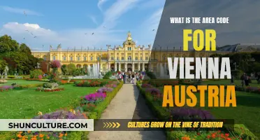 Uncover Vienna's Area Code: A Quick Guide to Austrian Calling