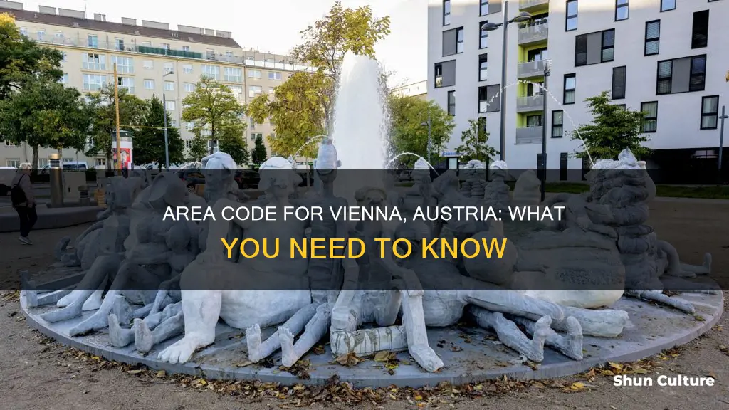what is the area code for vienna austria