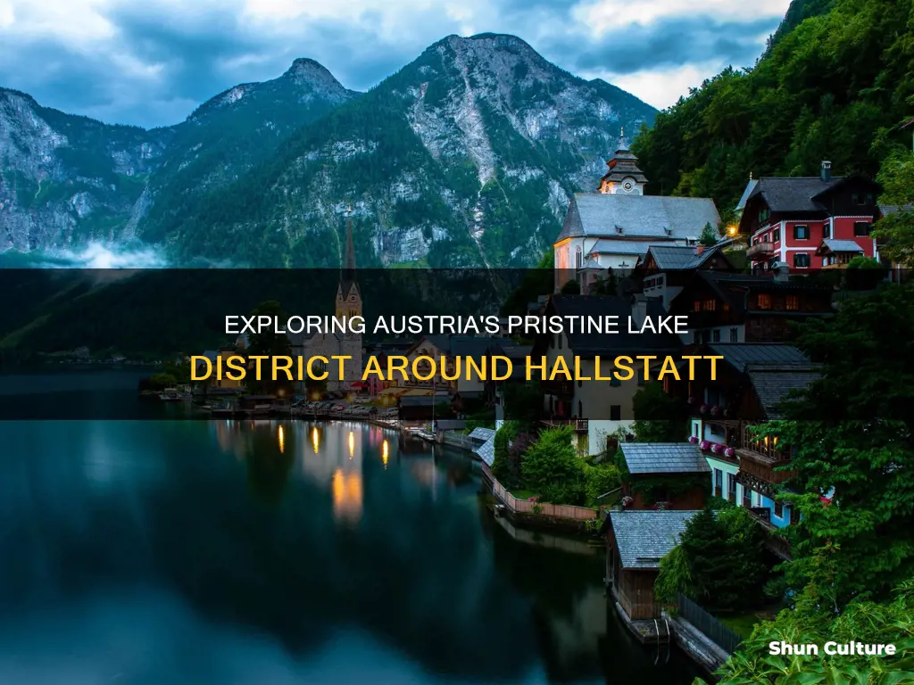 what is the area in western austria around hallstatt called