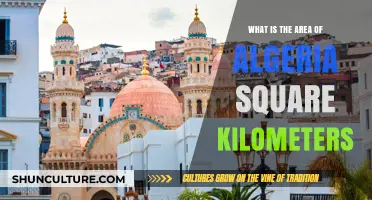 Exploring Algeria's Vast Territory: Total Area in Square Kilometers