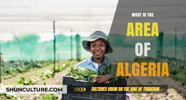 Exploring Algeria's Vast Territory: Understanding Its Total Land Area