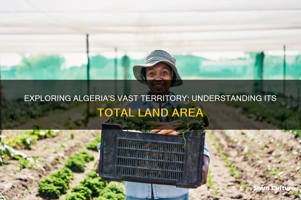 what is the area of algeria