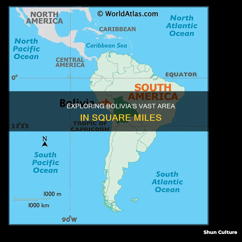 what is the area of bolivia in square miles