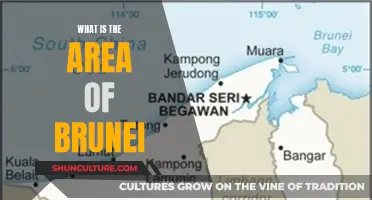 Exploring the Total Land Area of Brunei