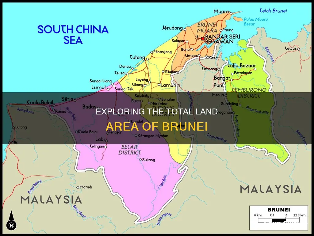 what is the area of brunei