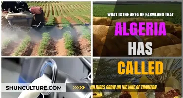 Algeria's Farmland Area: Exploring the Extent of Agricultural Land