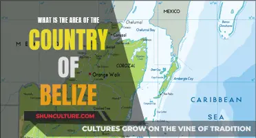 The Territory of Belize: Understanding Its Land Area and Significance