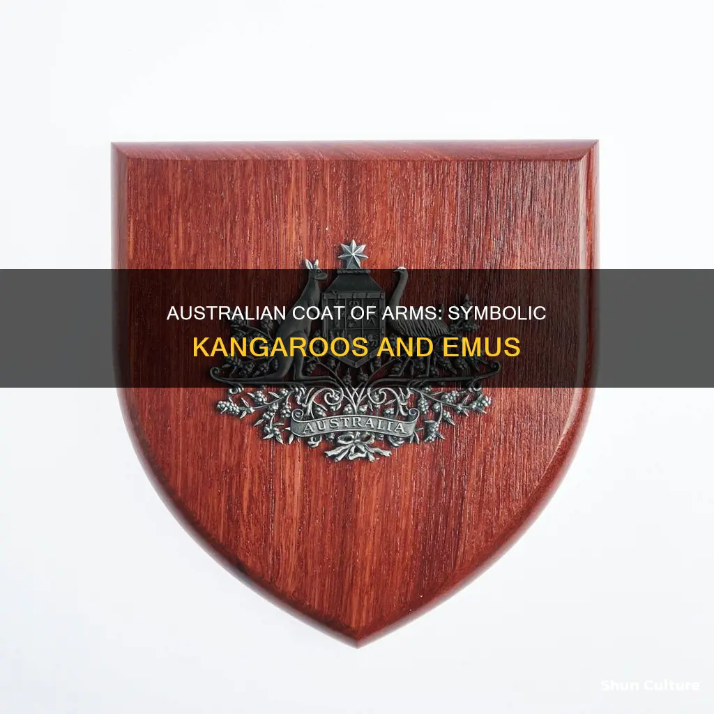 what is the australian coat of arms made up of