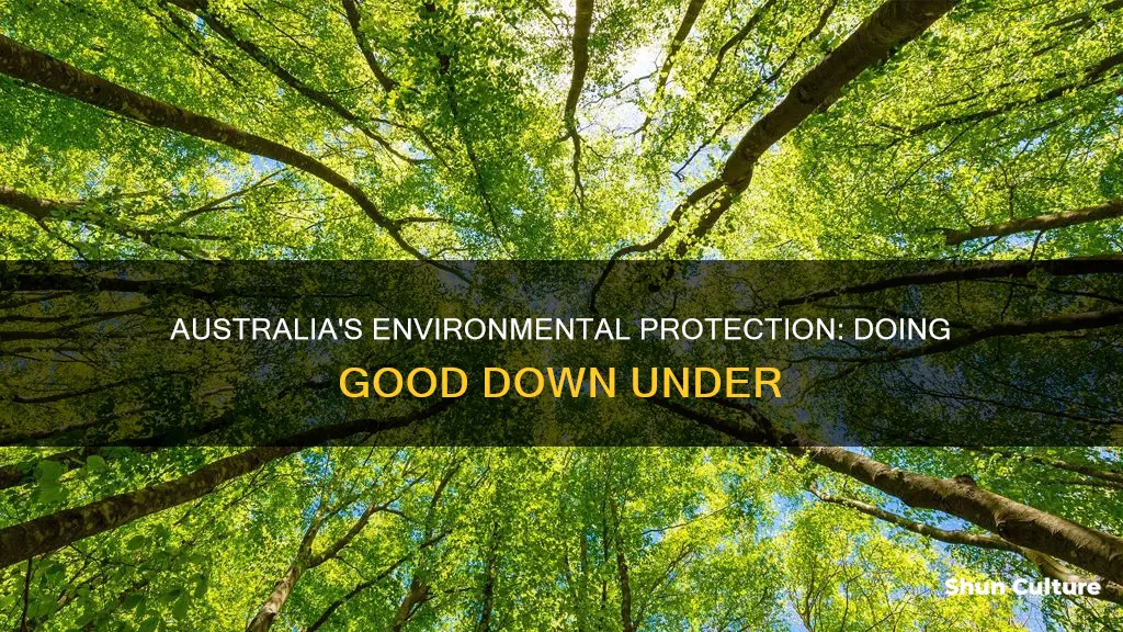 what is the australian environment protection good