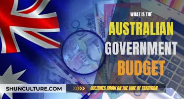 Understanding Australia's Federal Budget: Where Does the Money Go?