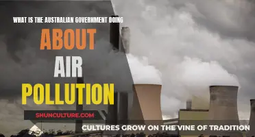 Australian Government's Air Pollution Mitigation Efforts and Challenges