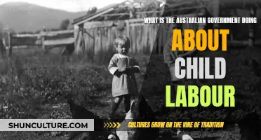 Australian Government's Efforts Against Child Labour
