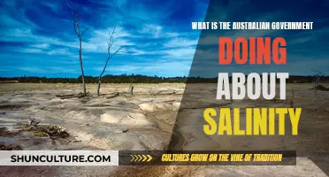 Australian Government's Initiatives to Combat Salinity