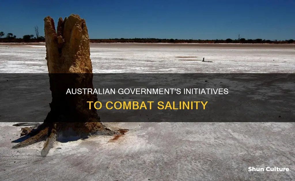 what is the australian government doing about salinity