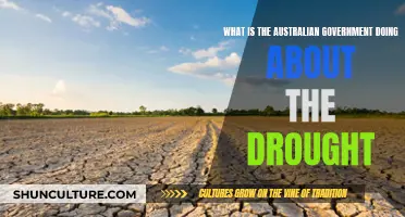 Australian Government's Drought Response: Strategies and Initiatives