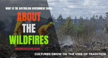 Australian Government's Action Plan Against Wildfires