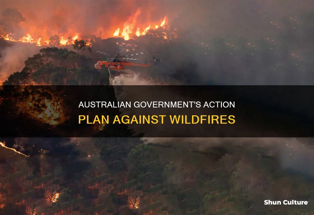 what is the australian government doing about the wildfires