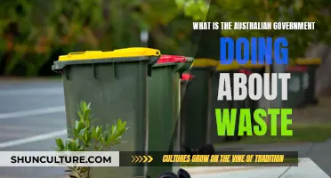 Australian Government's Waste Management Initiatives and Challenges