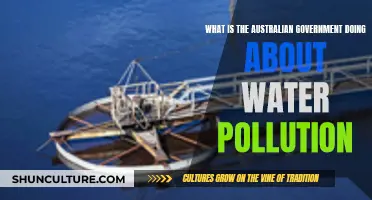 Australian Government's Action Plan for Water Pollution