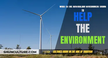 Australian Government's Environmental Initiatives: An Overview