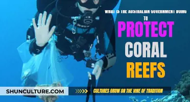 Australian Government's Efforts to Save Coral Reefs