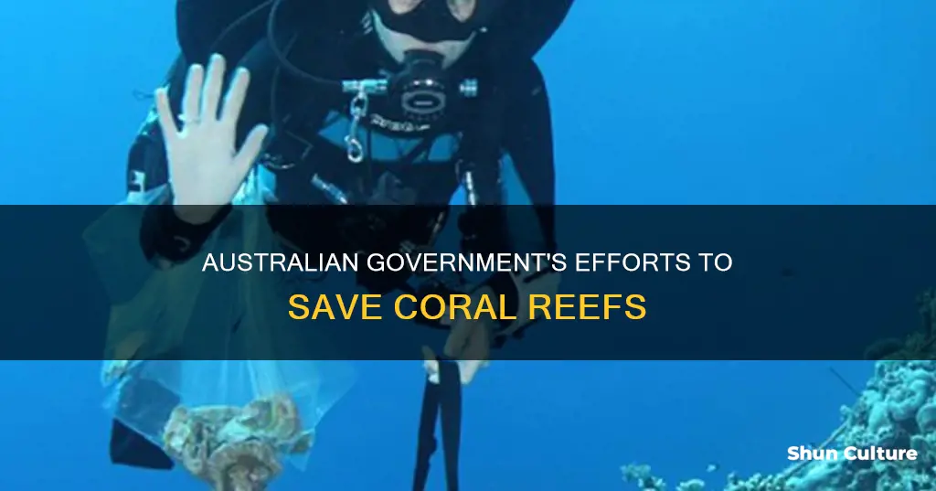 what is the australian government doing to protect coral reefs